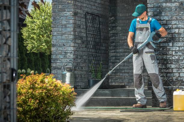 Best Sidewalk and Walkway Cleaning  in Guntown, MS