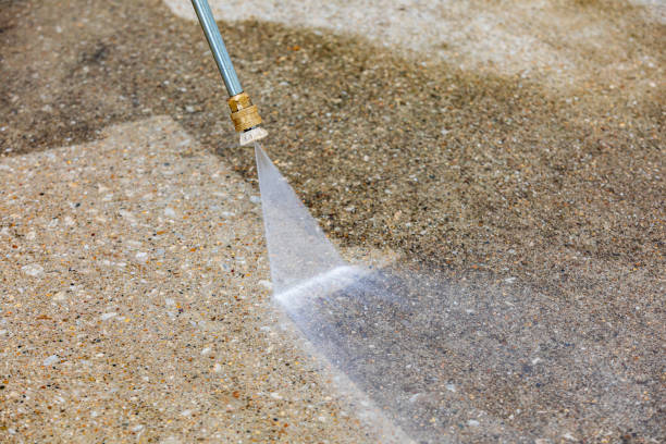 Best Pre-Holiday Cleaning  in Guntown, MS
